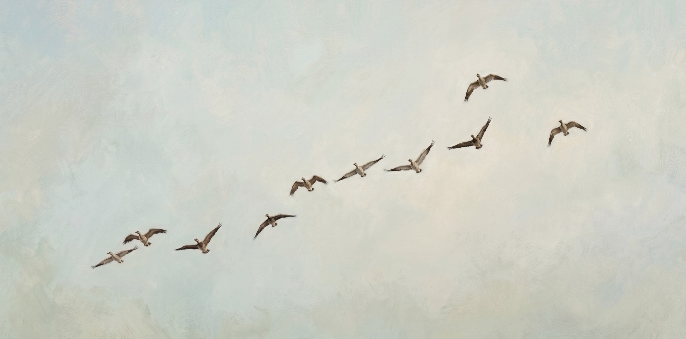 Snow goose hunt